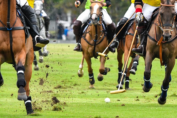 A group of people playing a polo game on a field